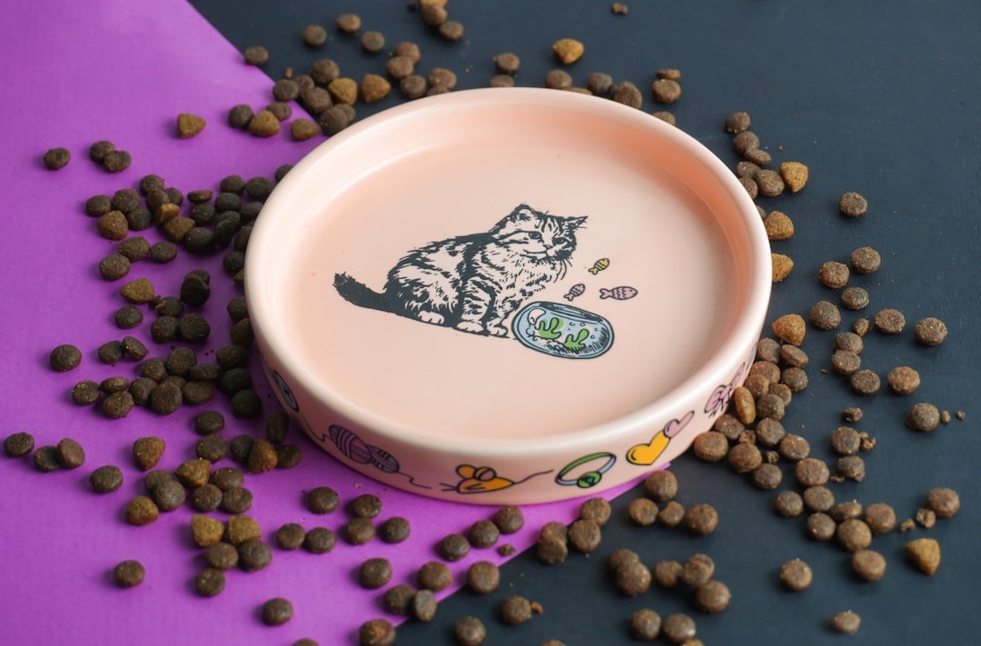 wet cat food bowl