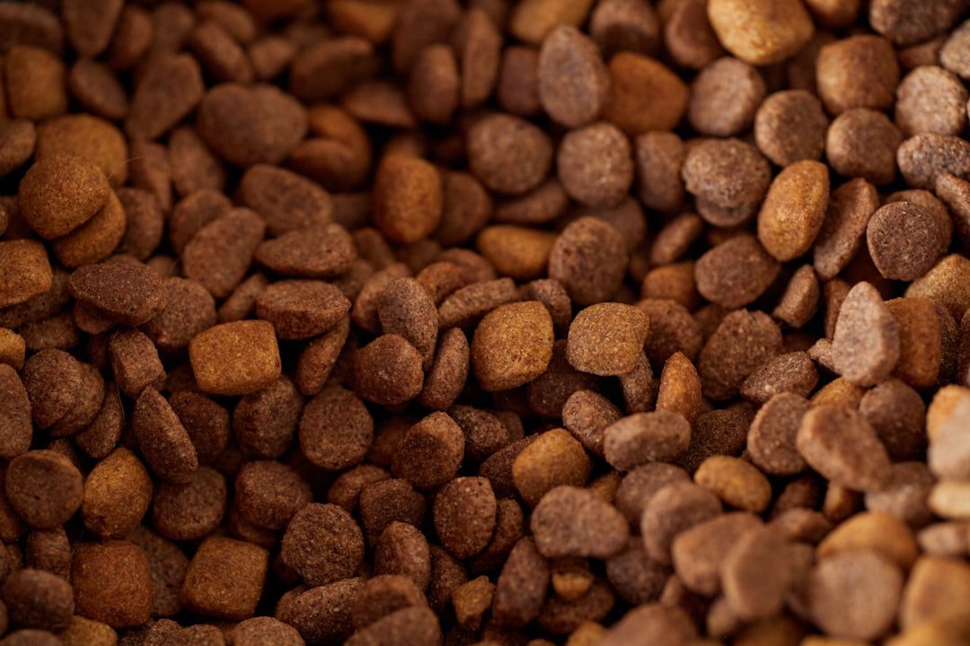 dry cat food kibble