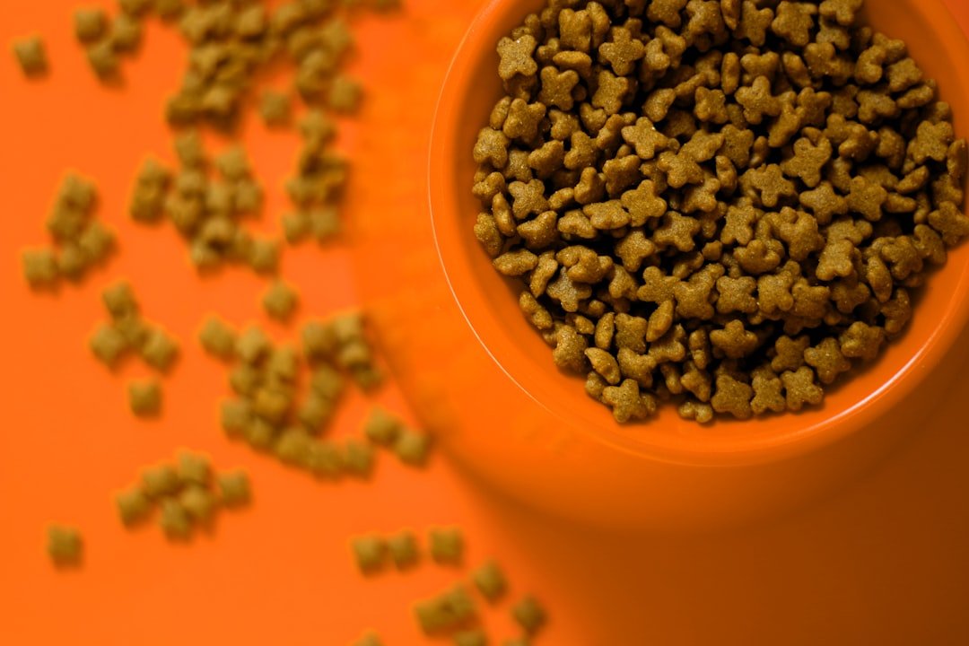 5 Limited Ingredient Cat Food Brands for Sensitivities: Natural Balance L.I.D. and More