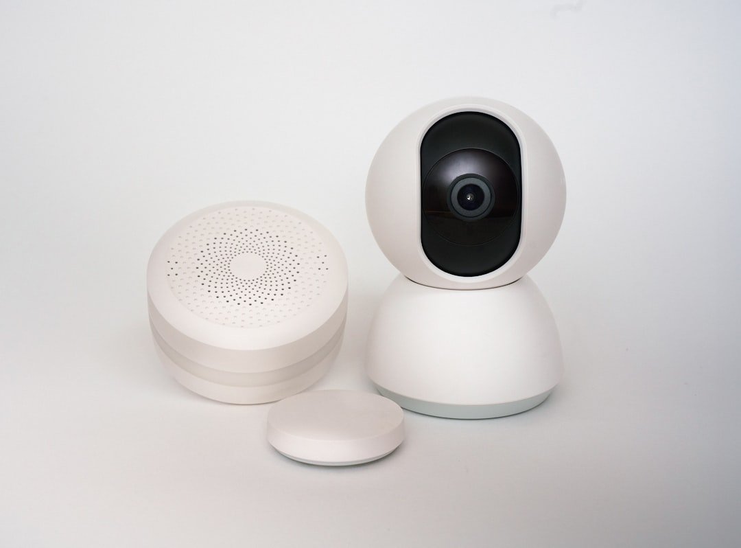 pet camera monitoring device