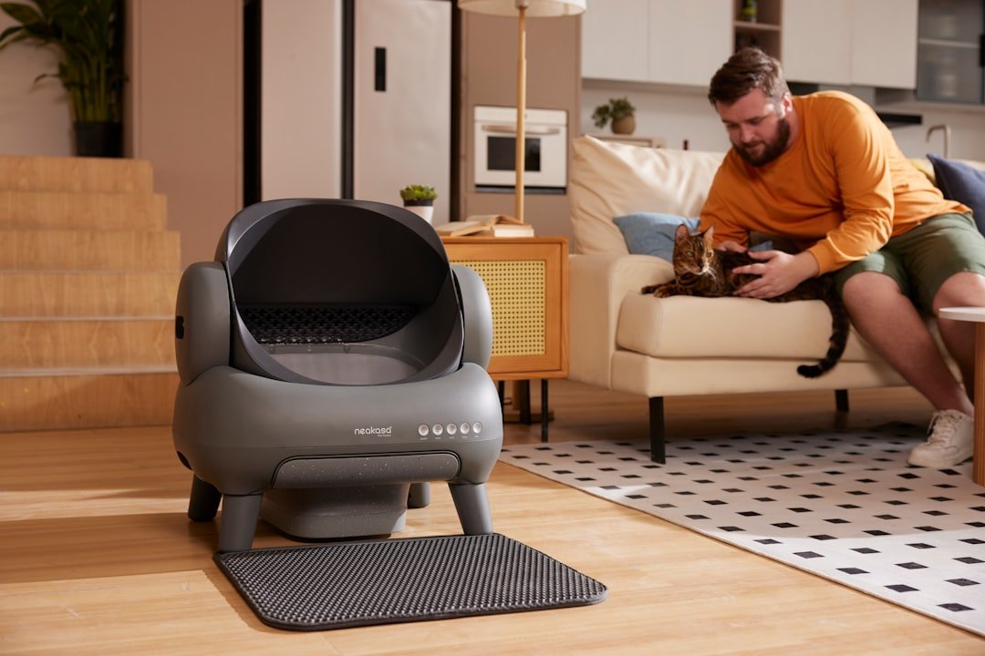 cat litter box