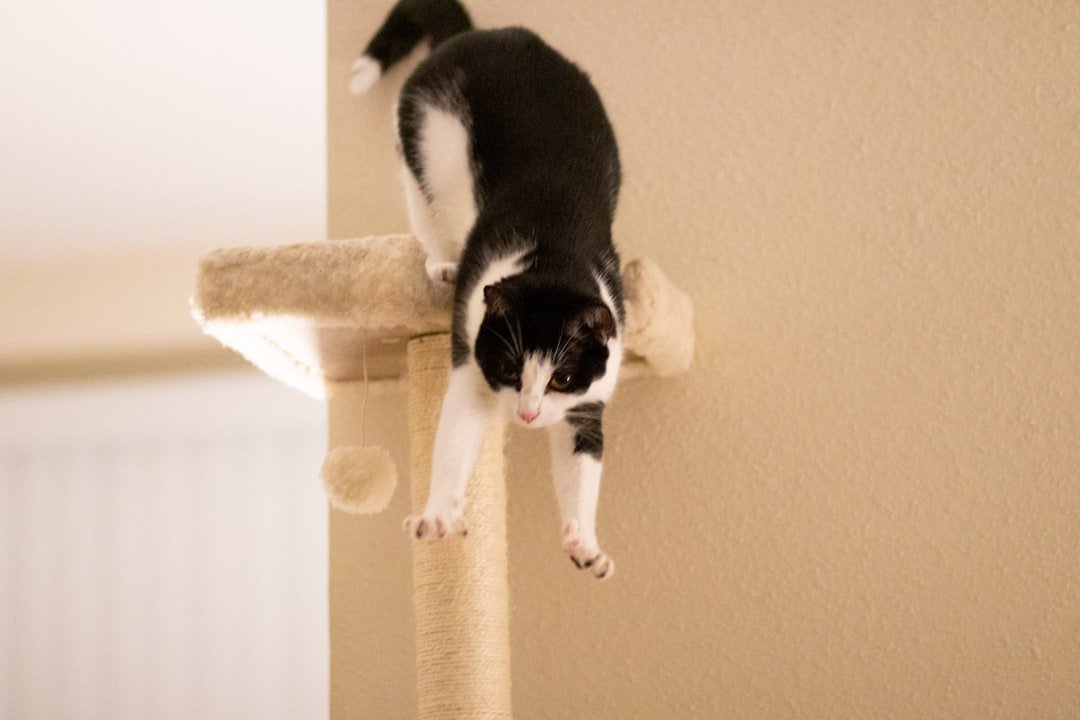 sisal cat scratching post