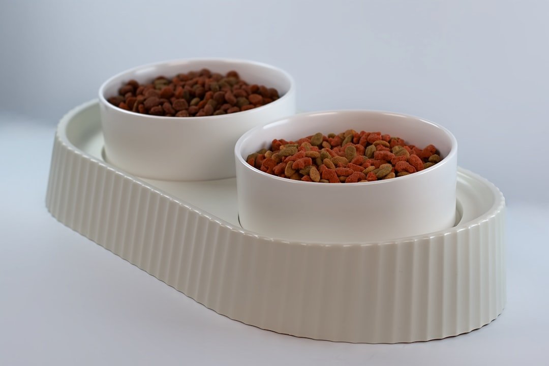cats separate feeding bowls