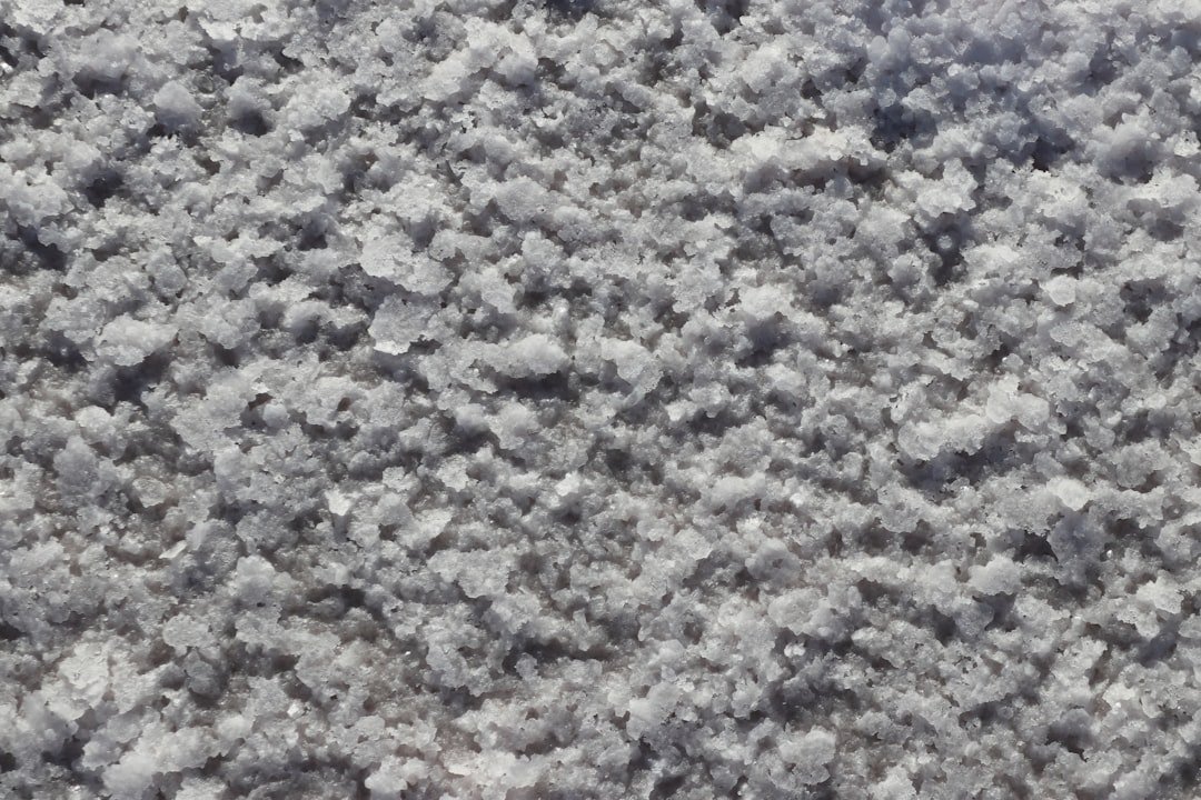 cat litter clumping texture