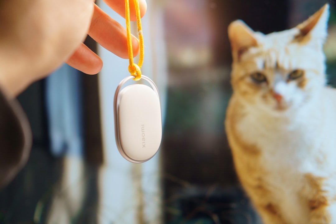 microchip pet identification device