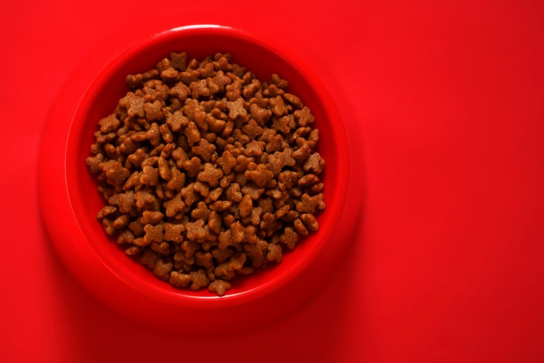 silicone cat food bowl