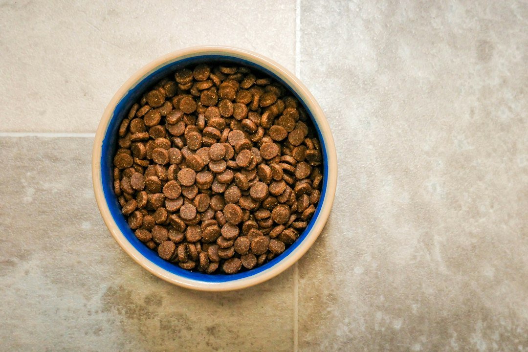 plain chicken cat food