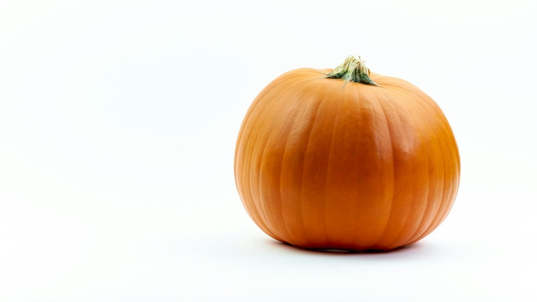 plain canned pumpkin
